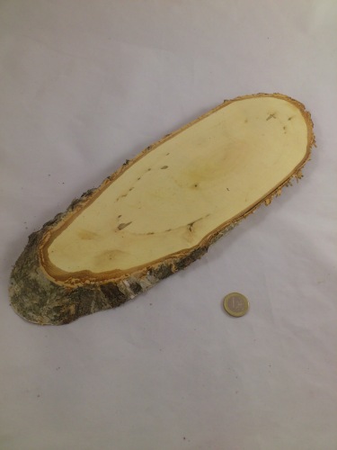 Birch (disk) oval +/- 31x12 cm